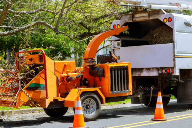 Best Utility Line Clearance  in Blakely, PA